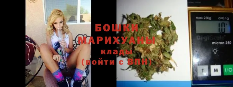 купить   Борзя  Конопля White Widow 